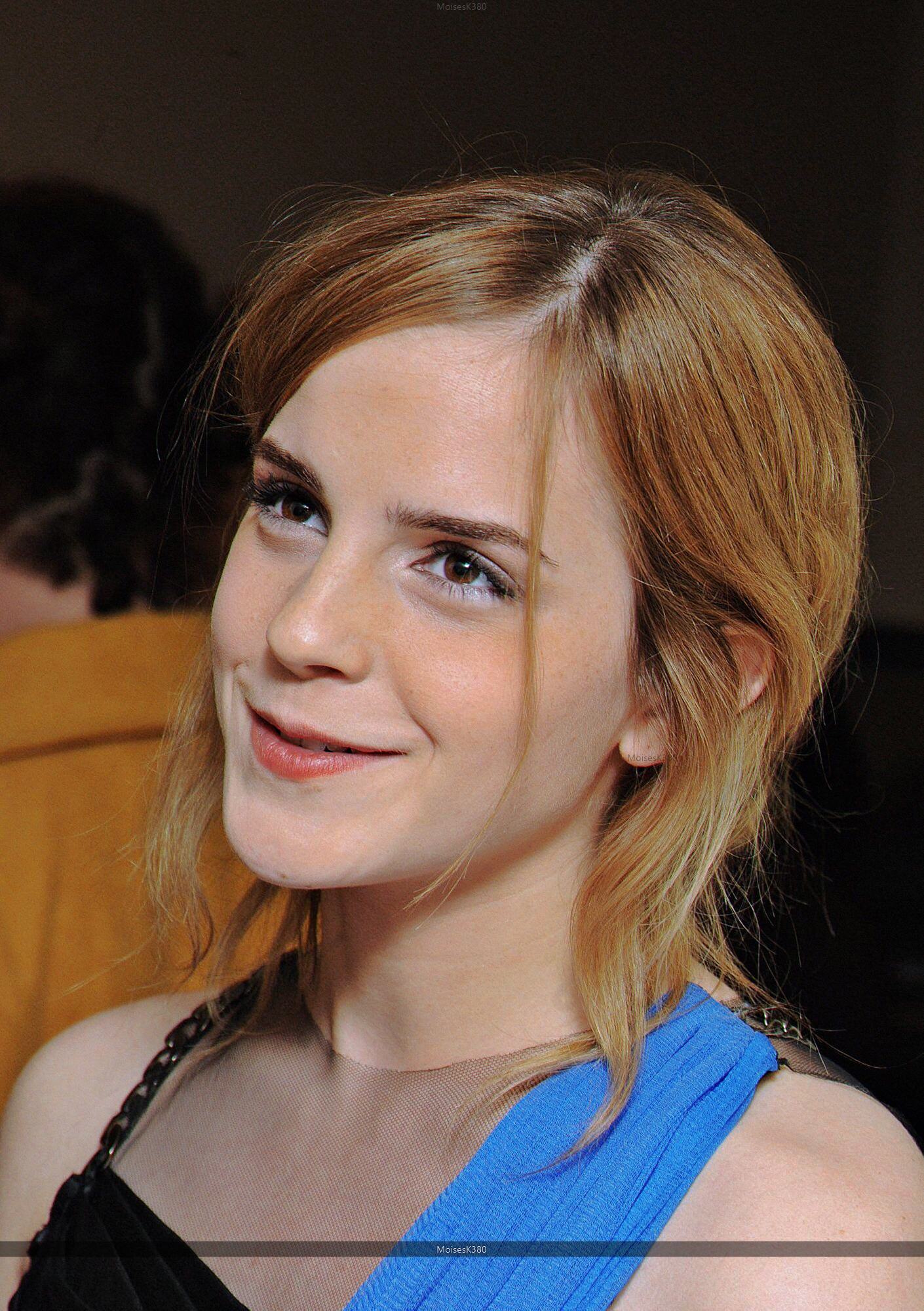 Emma Watson Fake