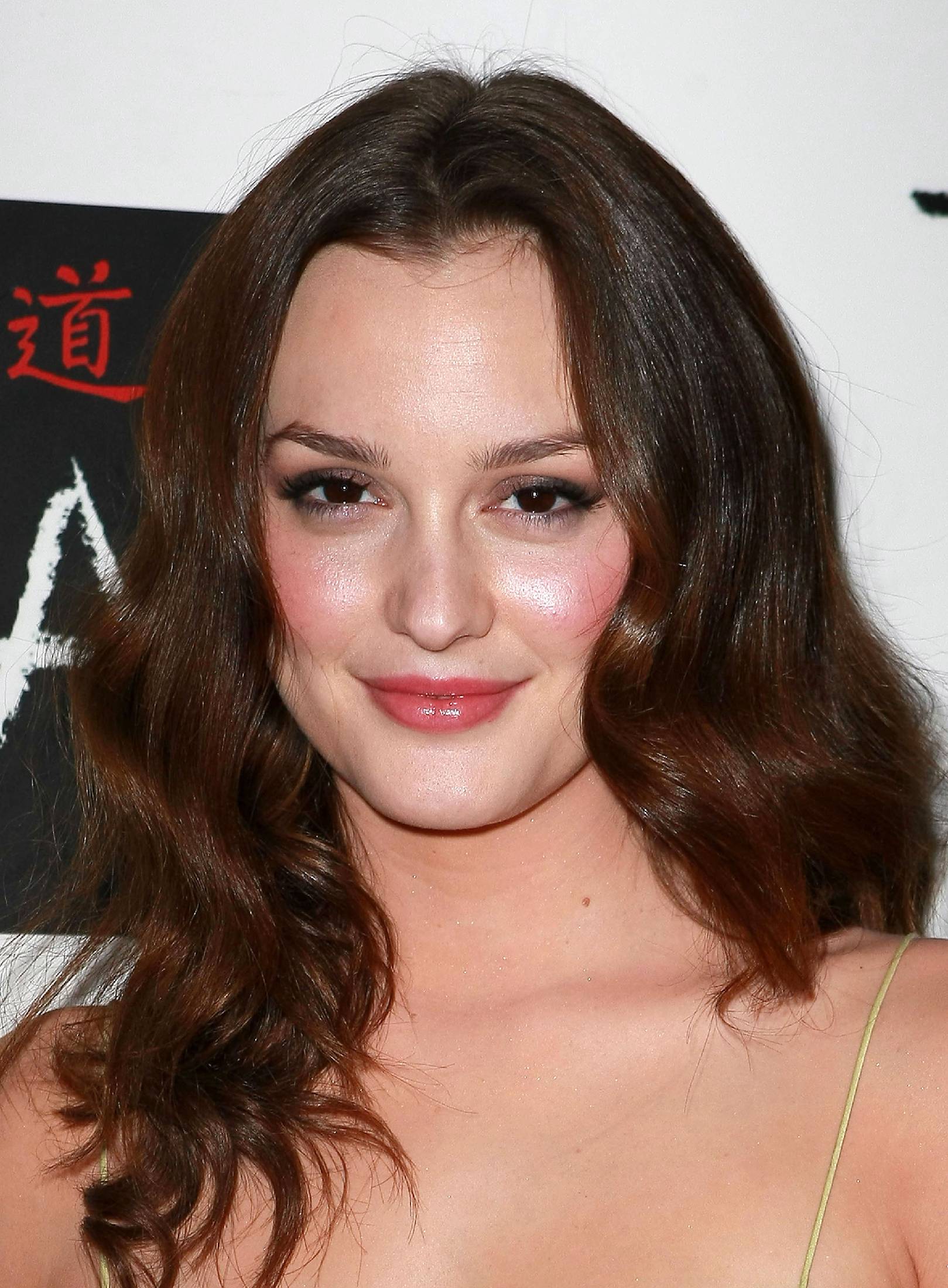 Leighton Meester Fakes