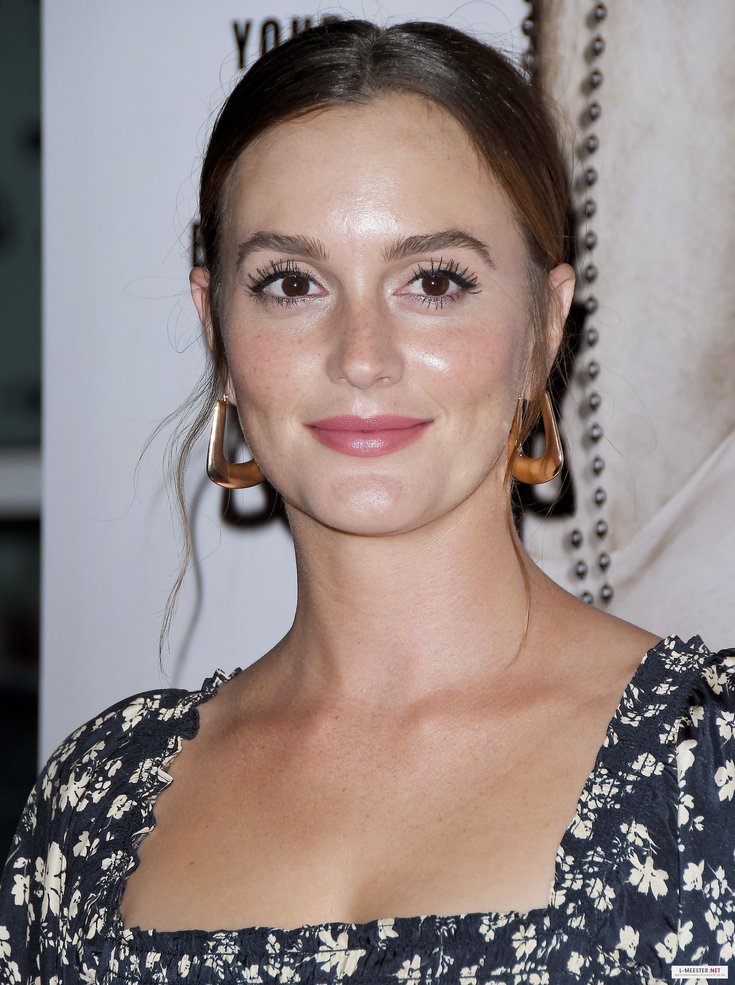 Leighton Meester Fakes