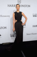 Shanina Shaik photo #