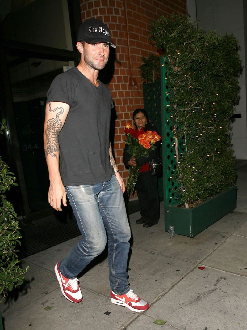 Adam Levine: pic #638186