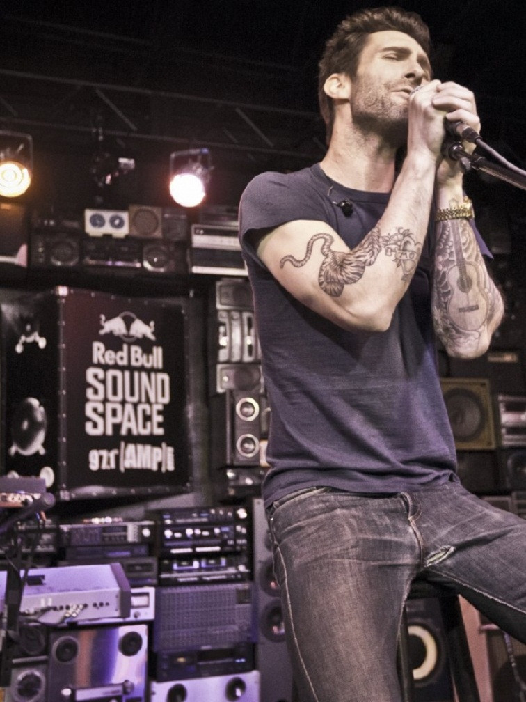 Adam Levine: pic #551863