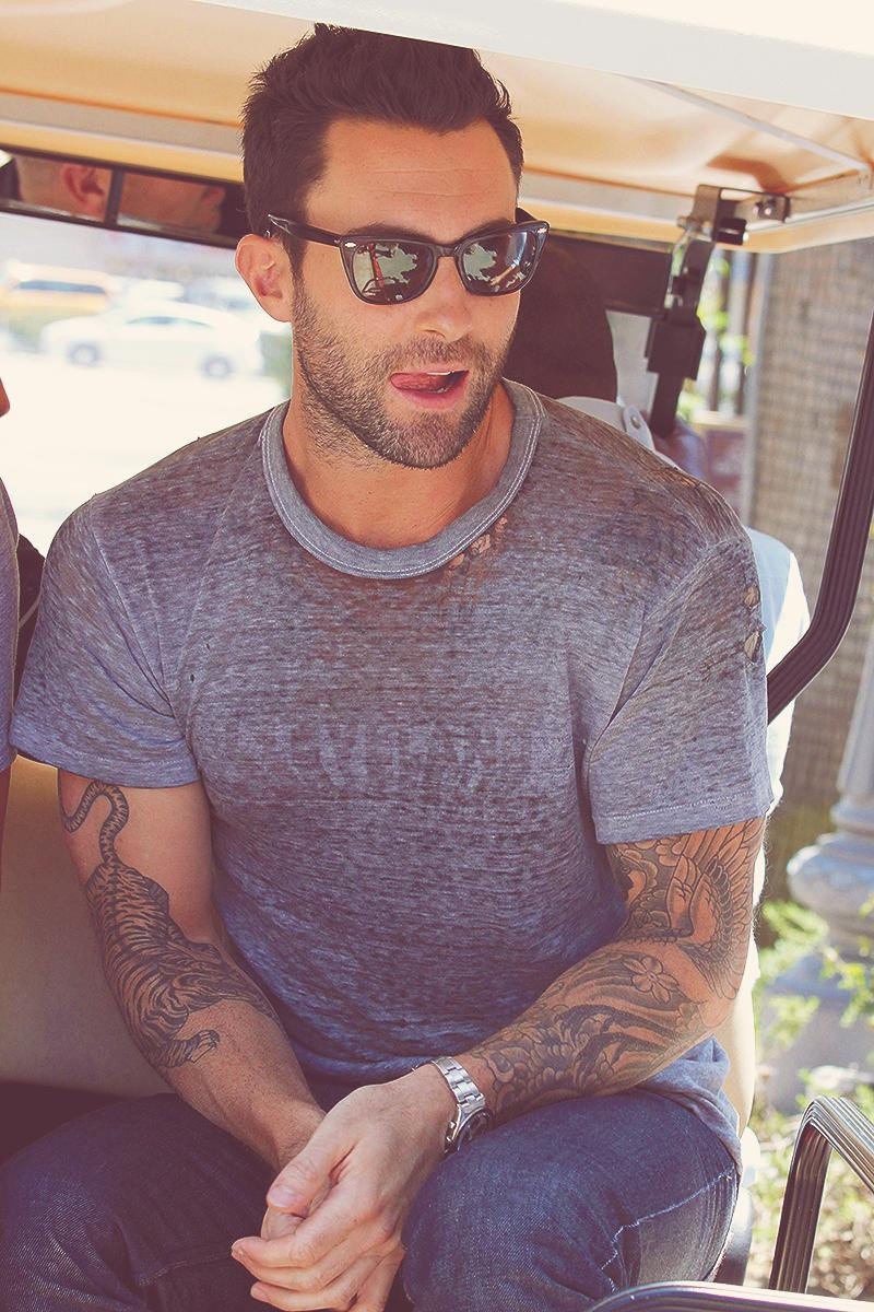 Adam Levine: pic #534648