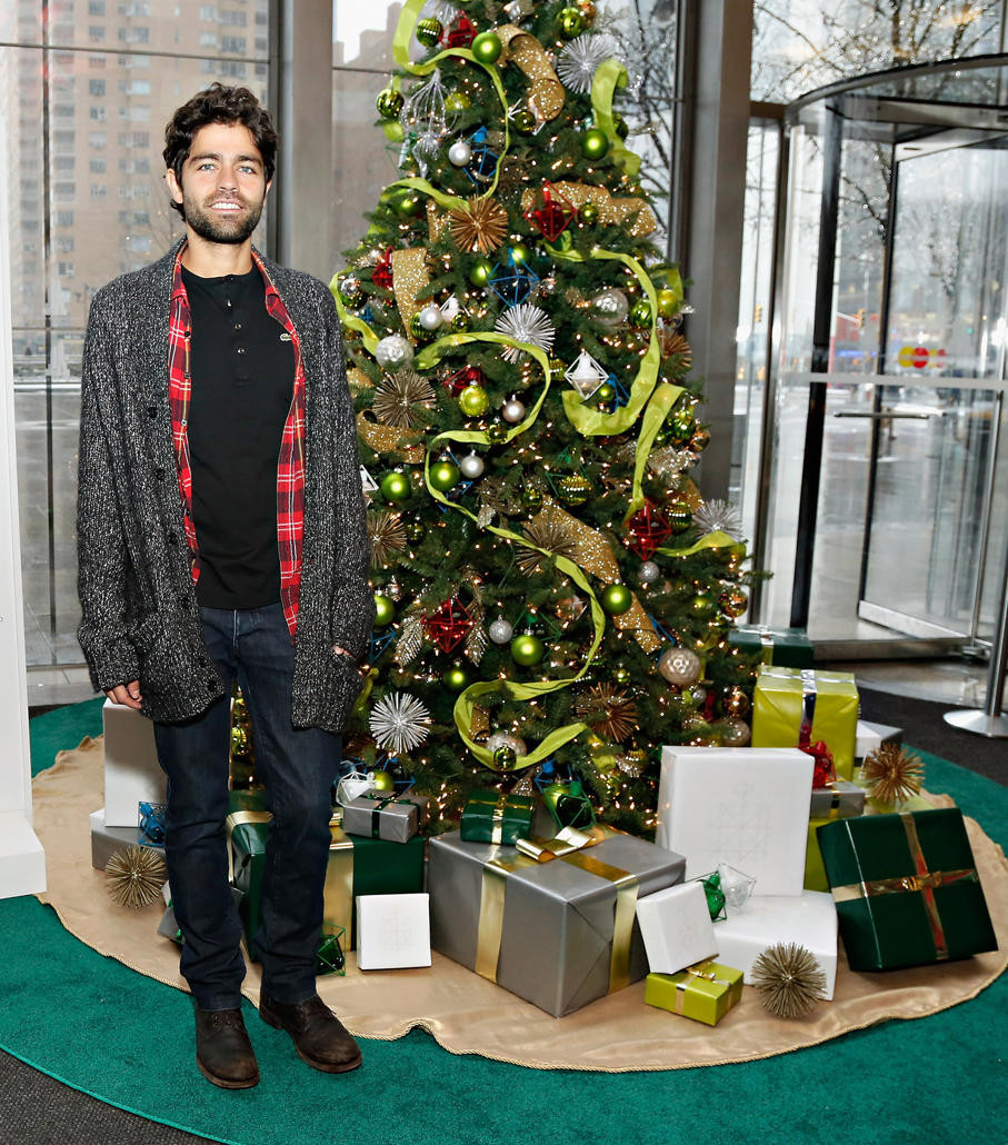 Adrian Grenier: pic #655912