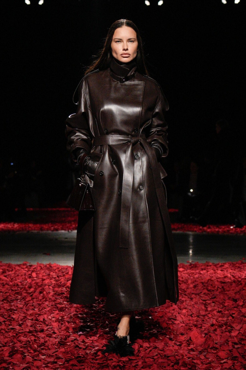 Adriana Lima: pic #1369858