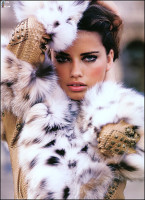 Adriana Lima photo #