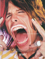 photo 15 in Aerosmith gallery [id65993] 0000-00-00