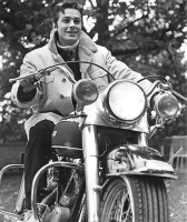 Alain Delon photo #