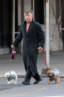 Alec Baldwin photo #