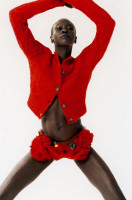 Alek Wek photo #