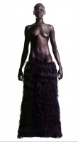 Alek Wek photo #