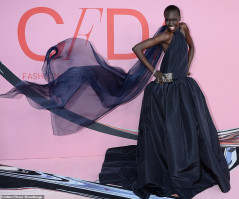 Alek Wek photo #