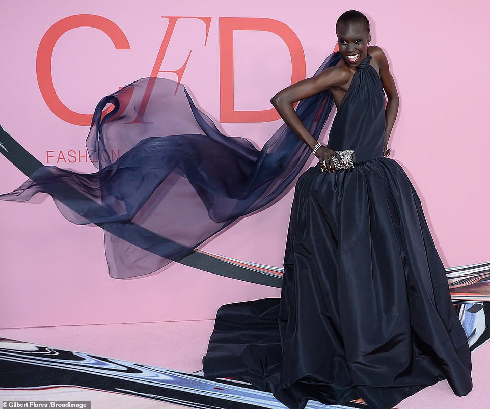 Alek Wek: pic #1142470