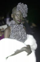 Alek Wek photo #