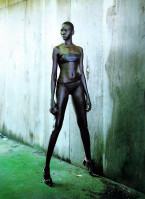 Alek Wek photo #