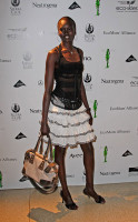 Alek Wek photo #