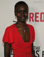 Alek Wek photo #