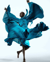 Alek Wek photo #