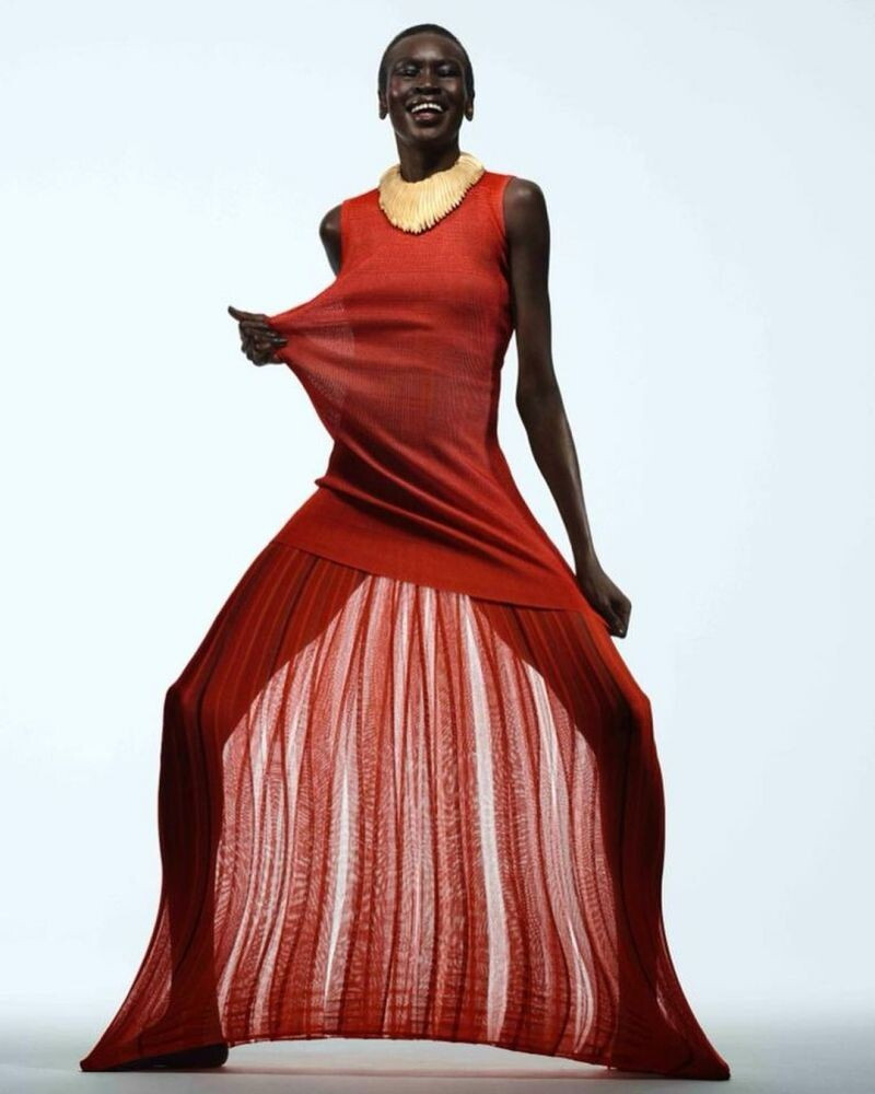 Alek Wek: pic #1317044