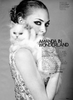Amanda Seyfried photo #