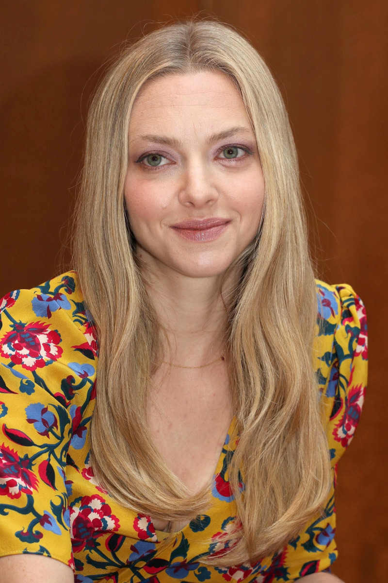 Amanda Seyfried: pic #1051262