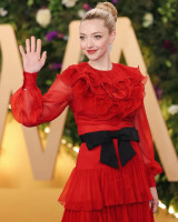 photo 13 in Seyfried gallery [id1367713] 2025-03-16