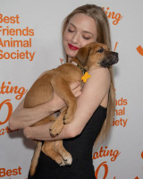 Amanda Seyfried pic #1360708