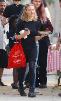 Amanda Seyfried photo #