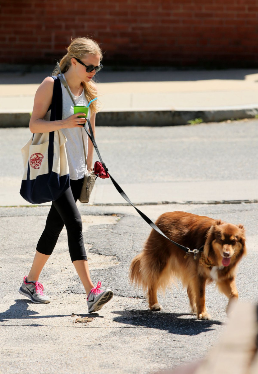 Amanda Seyfried: pic #718650