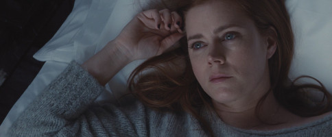 Amy Adams photo #