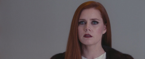 Amy Adams photo #