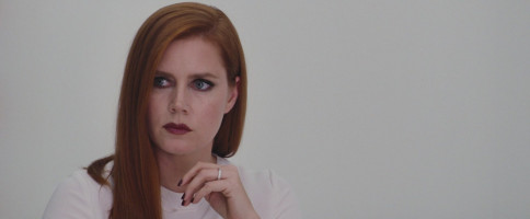 Amy Adams photo #