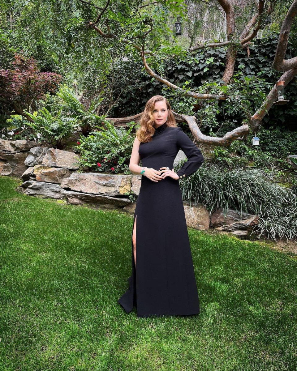 Amy Adams: pic #1252106