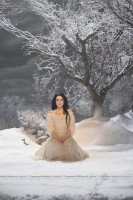 Amy Lee photo #