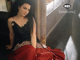 Amy Lee photo #