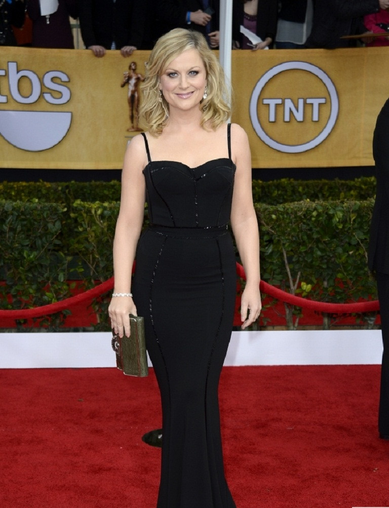 Amy Poehler: pic #586813