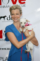 photo 27 in Amy Smart gallery [id301165] 2010-11-01