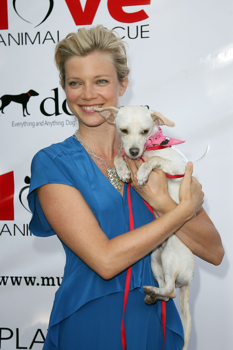 Amy Smart: pic #301165