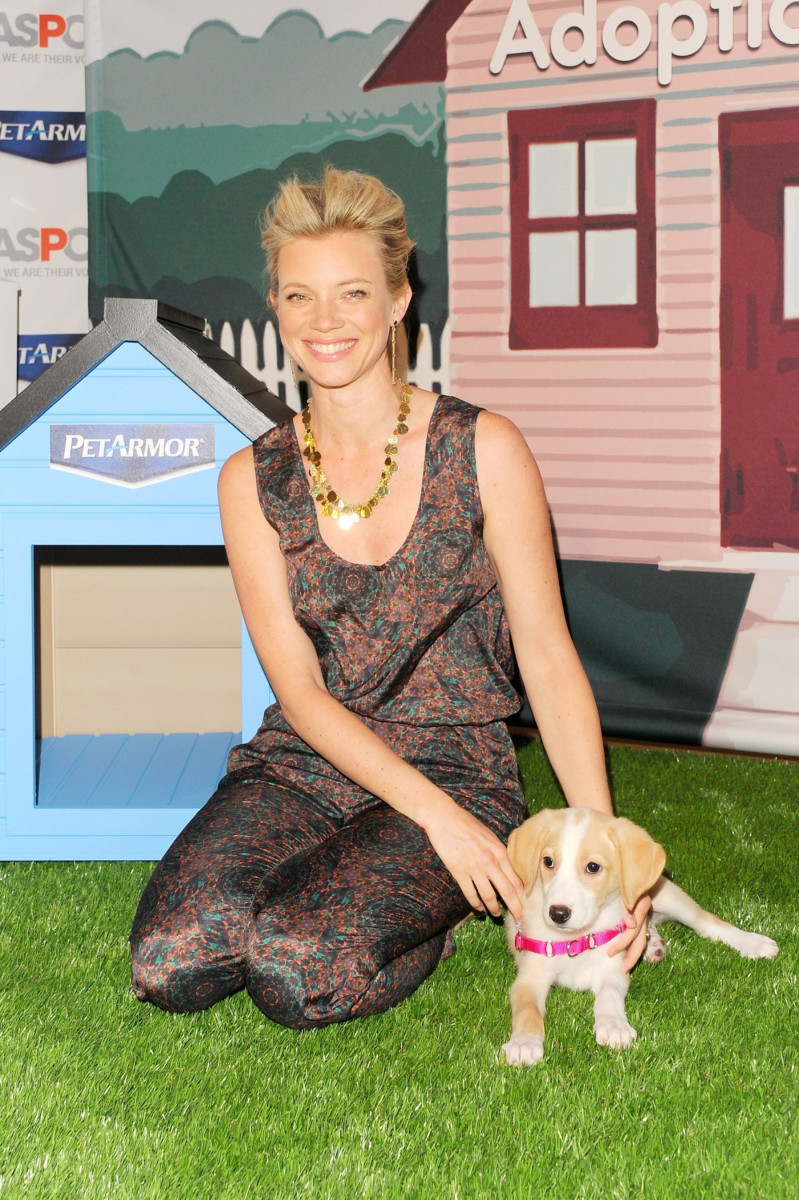 Amy Smart: pic #479598