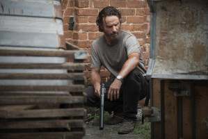photo 17 in Andrew Lincoln gallery [id871363] 2016-08-13