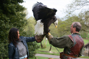 Angel Coulby photo #