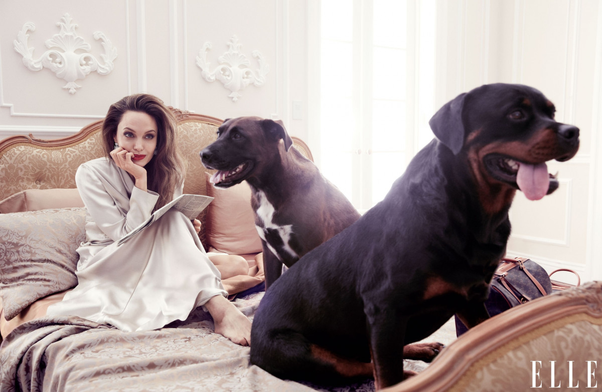 Angelina Jolie: pic #1167047