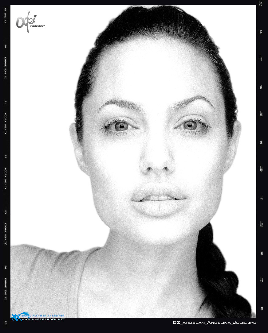 Angelina Jolie: pic #14509