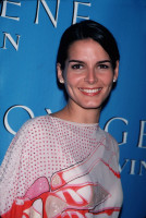 photo 18 in Angie Harmon gallery [id23456] 0000-00-00