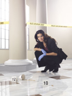 Angie Harmon photo #