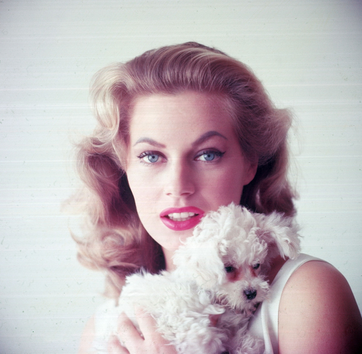 Anita Ekberg: pic #324292