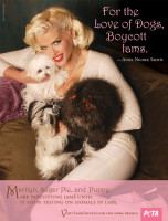 Anna Nicole Smith photo #