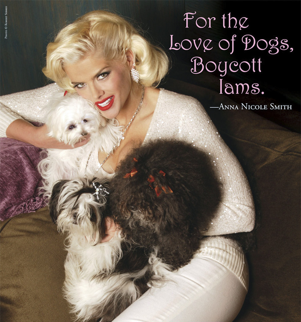 Anna Nicole Smith: pic #399807