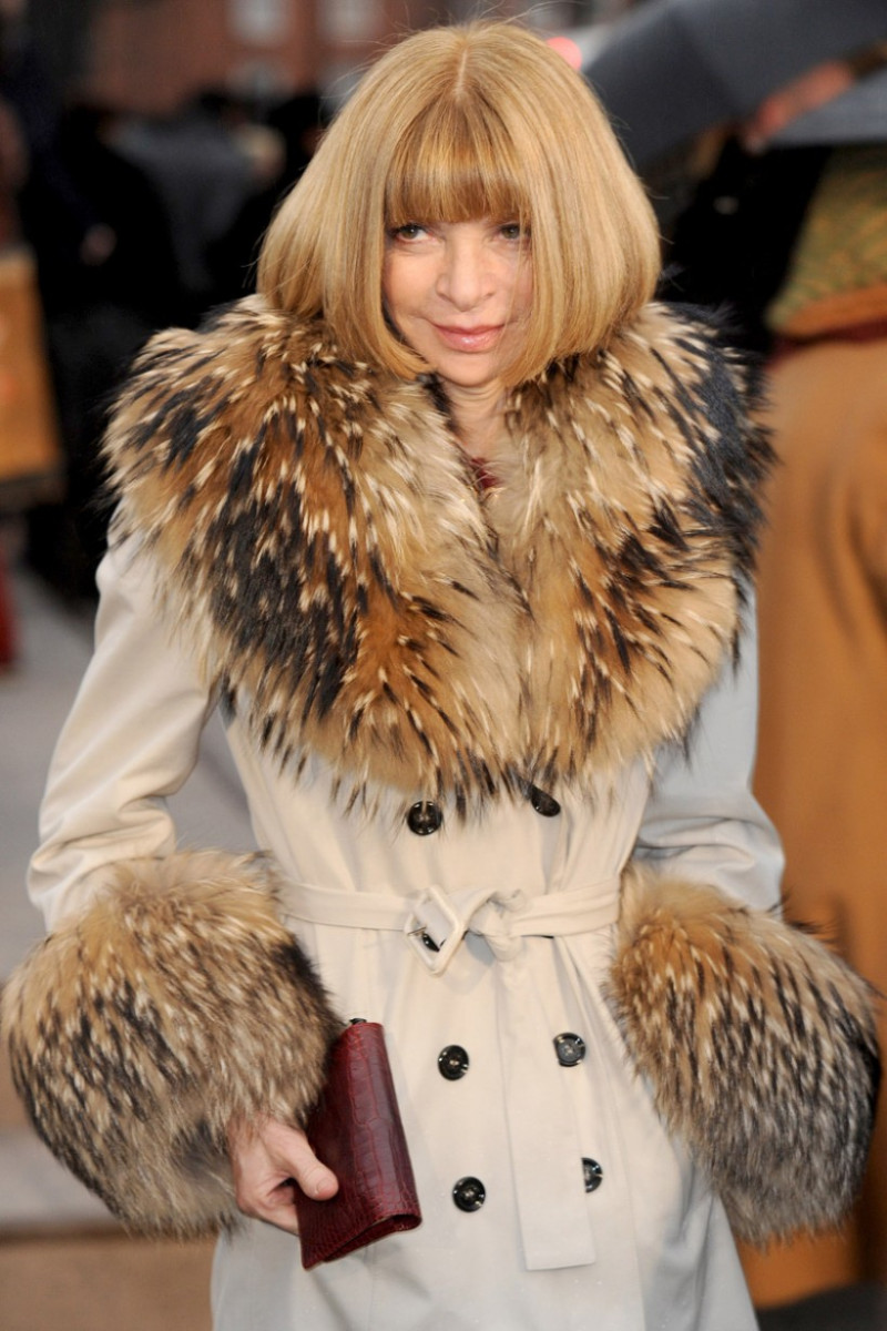 Anna Wintour: pic #315563