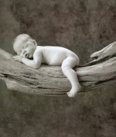 Anne Geddes photo #
